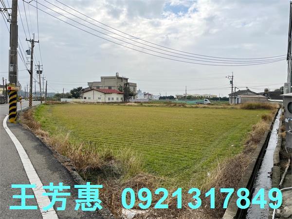 台中外埔農地-8