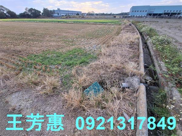 台中后里農地-10