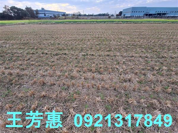 台中后里農地-11
