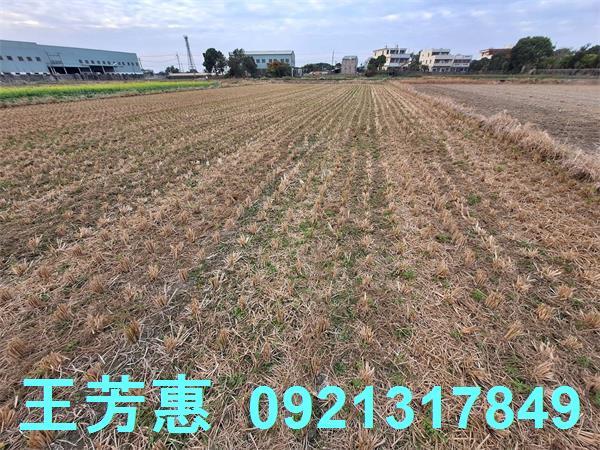 台中后里農地-12