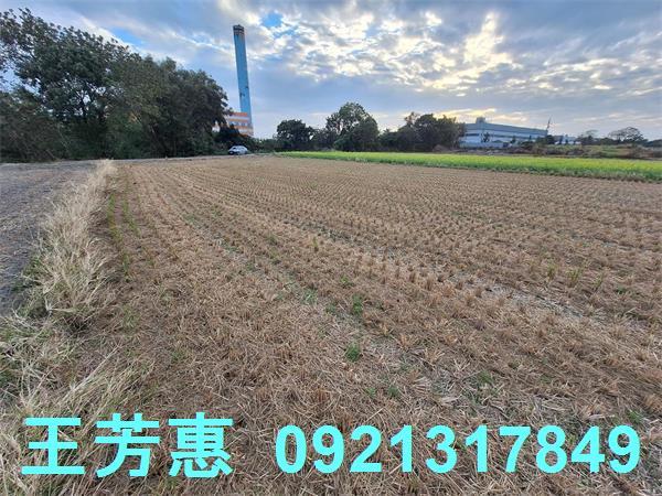 台中后里農地-13