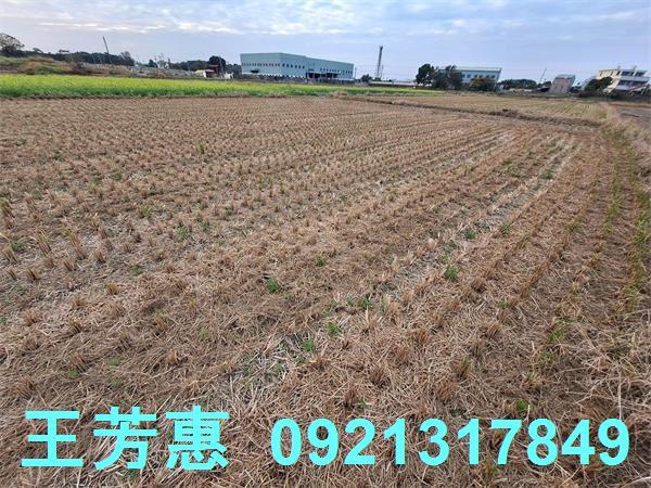 台中后里農地-14