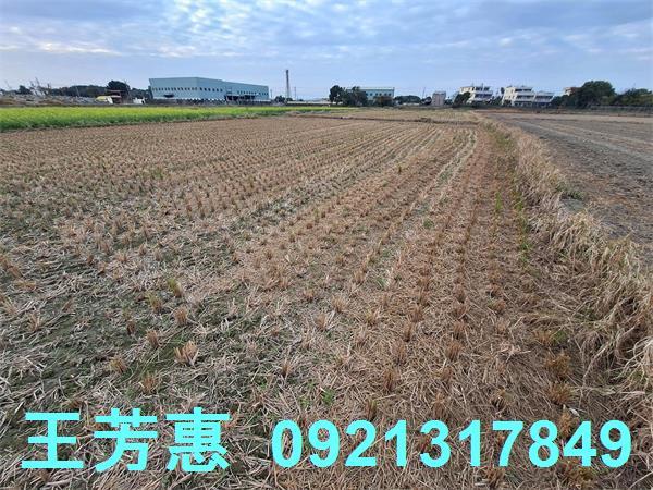 台中后里農地-15