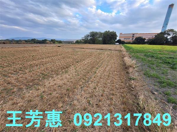 台中后里農地-3