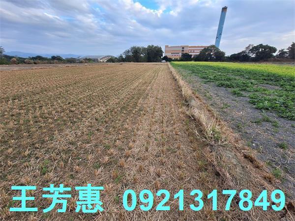 台中后里農地-7