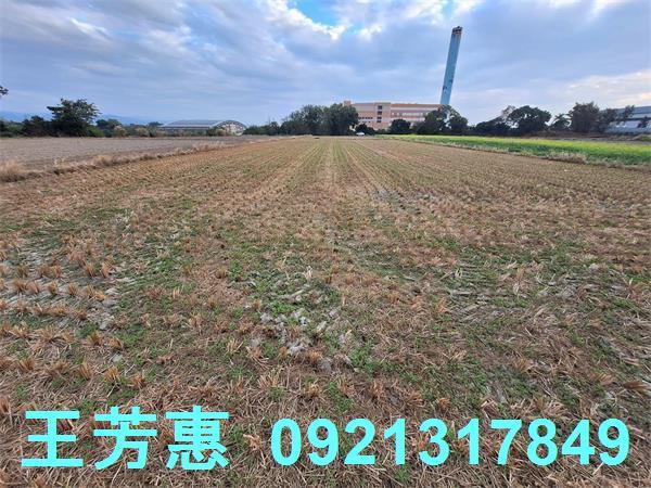 台中后里農地-9