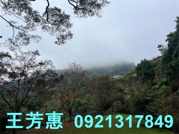 台中東勢農地-12
