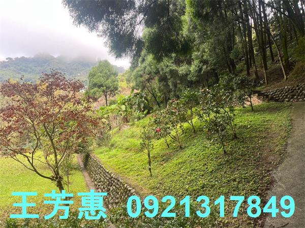 台中東勢農地-2