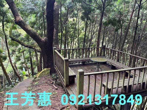 台中東勢農地-3