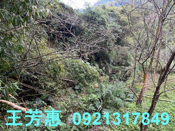 台中東勢農地-6