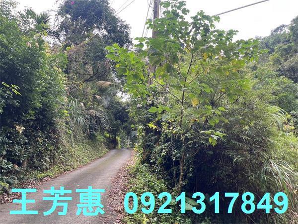 台中東勢農地-7