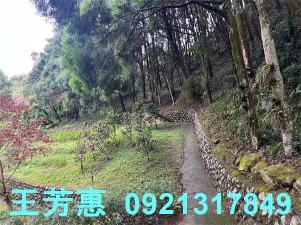台中東勢農地-8