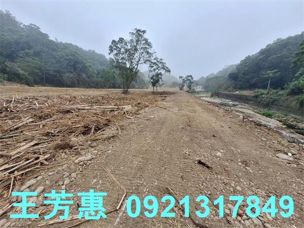 苗栗苑裡農地-6