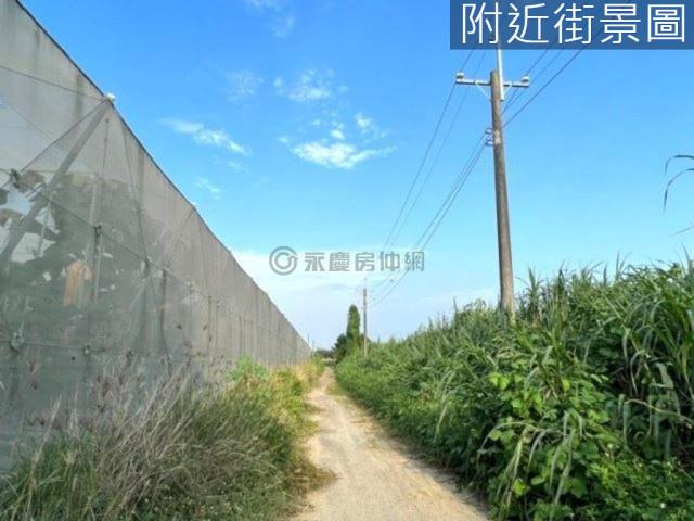 台南山上農地-10