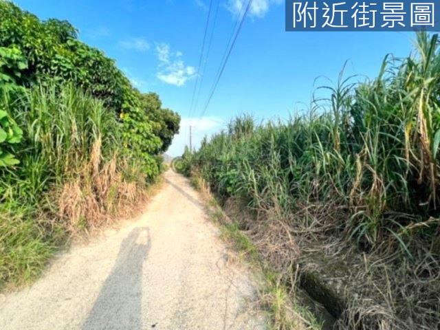 台南山上農地-2