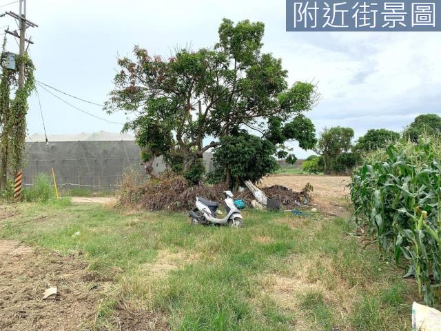 台南山上農地-5