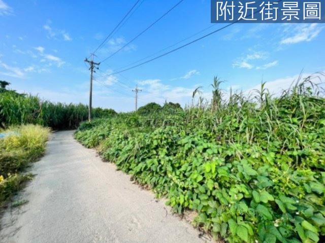 台南山上農地-6