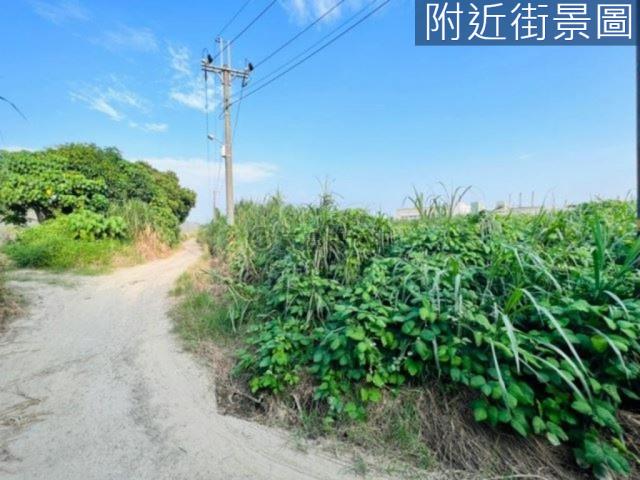 台南山上農地-7