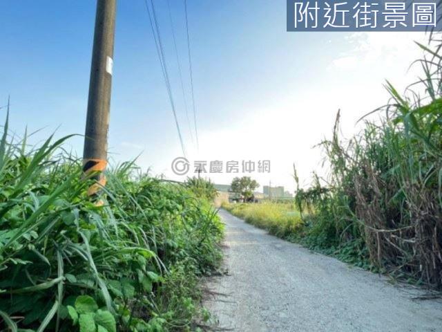 台南山上農地-9