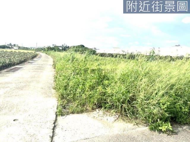 台南山上農地-7
