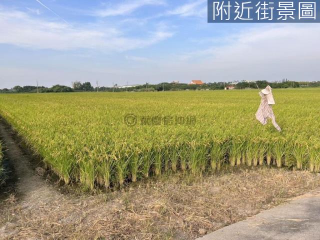 台南六甲農地-1