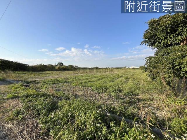 麻豆農地-2