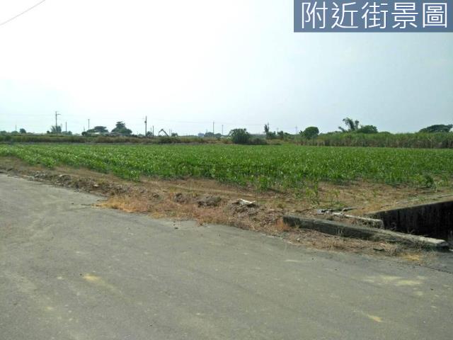 善化農地-3