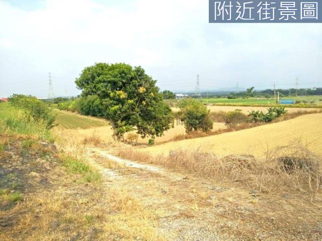善化農地-7