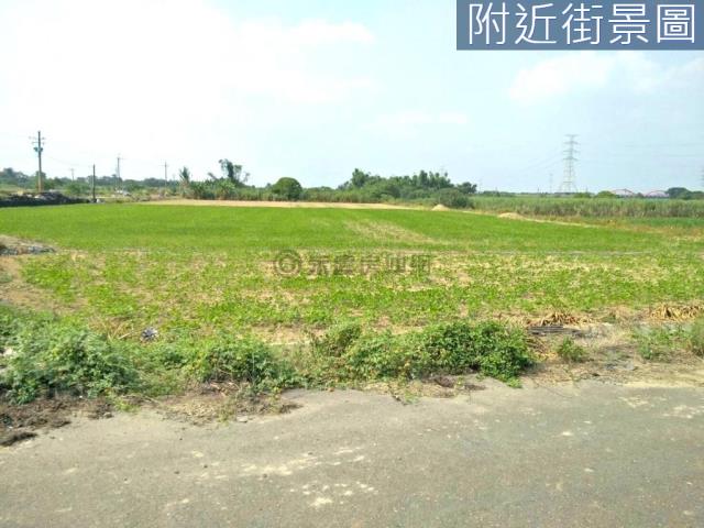 善化農地-8