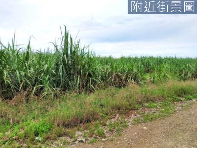 善化農地-9