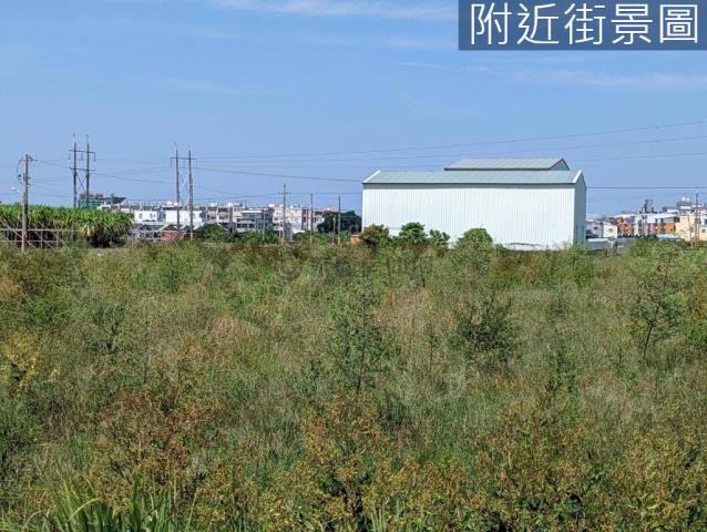 新市農地-12