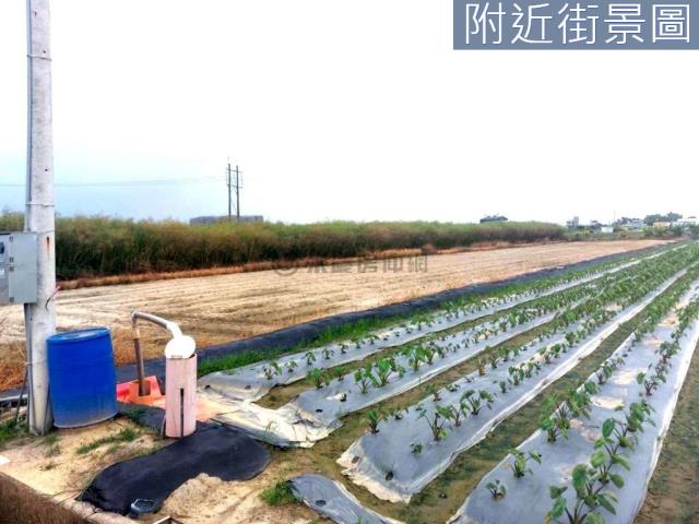 新市農地-1