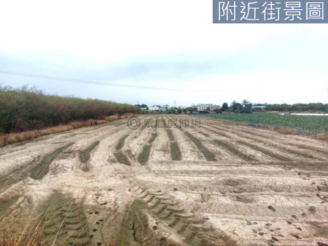 新市農地-7