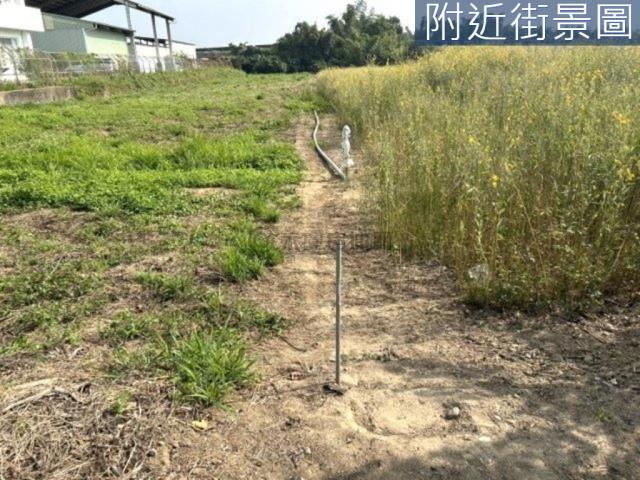 新市農地-2