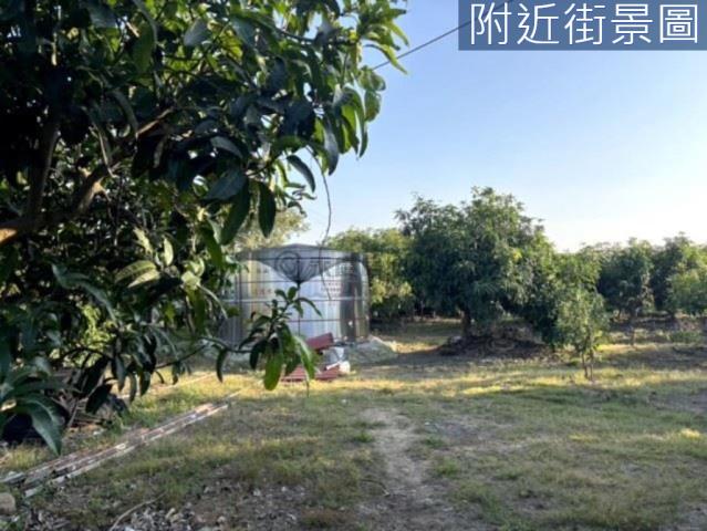 楠西農地-10