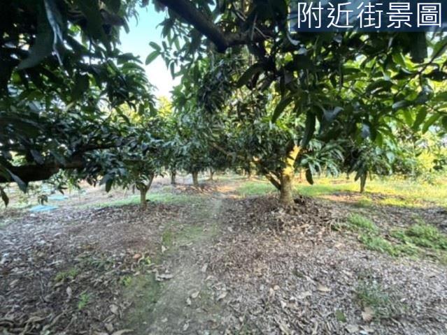 楠西農地-15