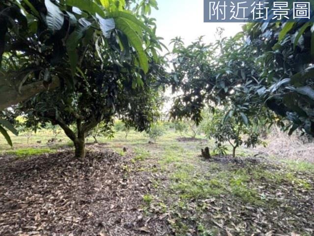 楠西農地-4