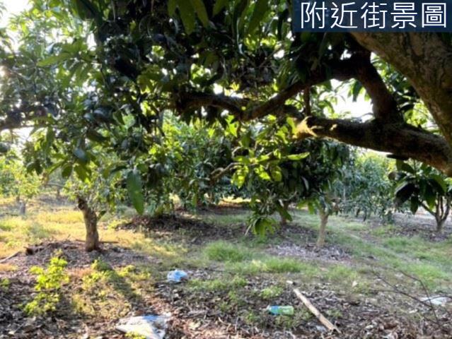 楠西農地-6