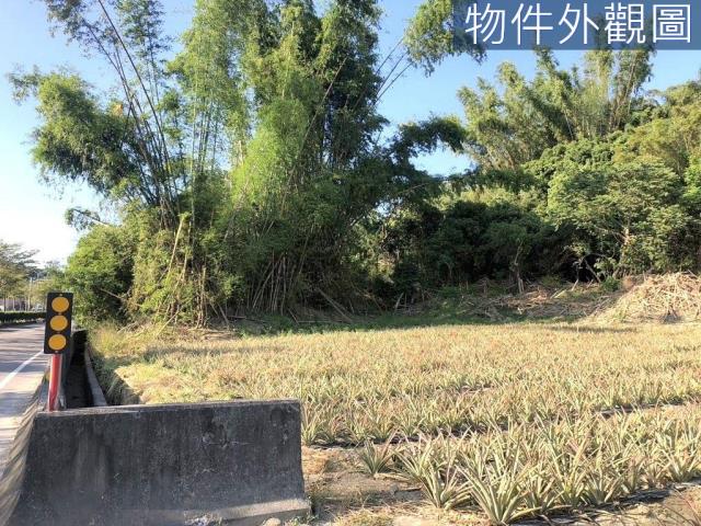 台南農地-4