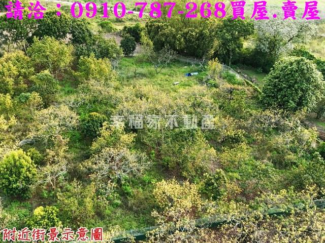 台南農地-6