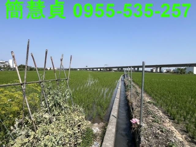 台中農地-4