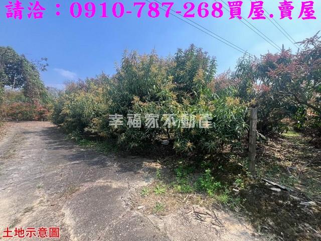 台南官田農地-12