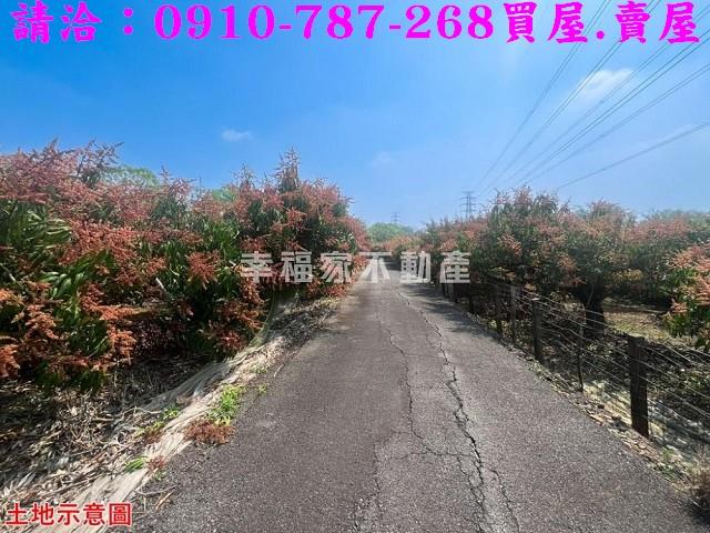 台南官田農地-9