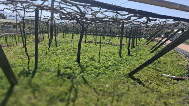 台中石岡農地-2