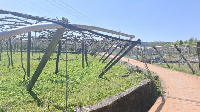 台中石岡農地-3