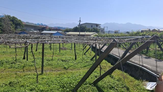 台中石岡農地-6