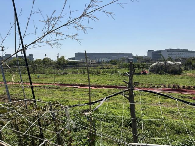 台中大雅農地-1