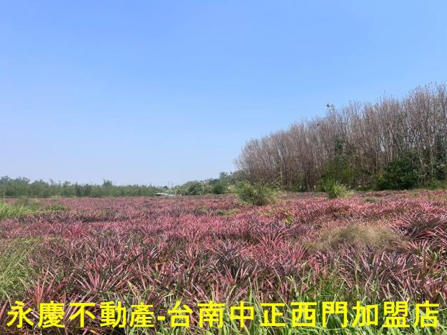 台南關廟農地-1