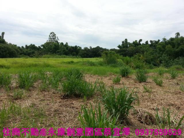 新化農地-4