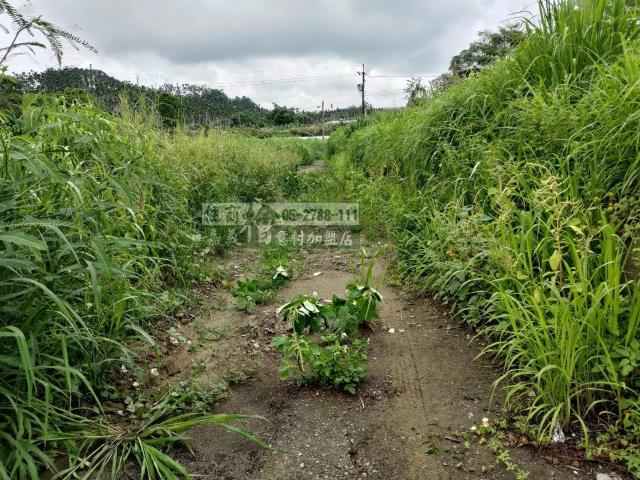 中埔農地-3
